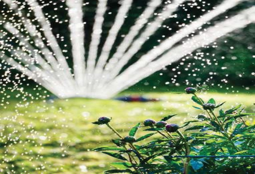 خدمات المسطحات الخضراء